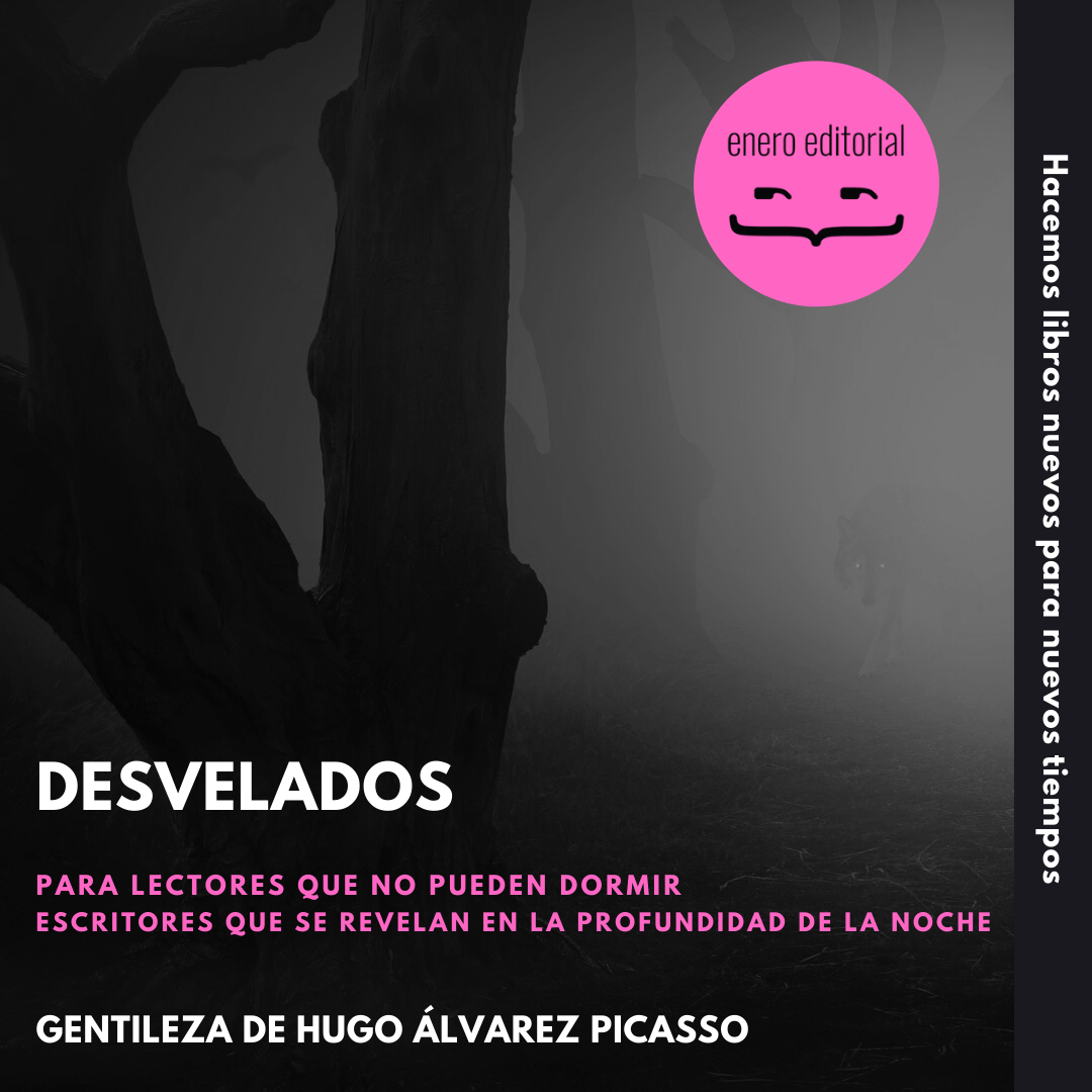 Desvelados - Hugo Álvarez Picasso