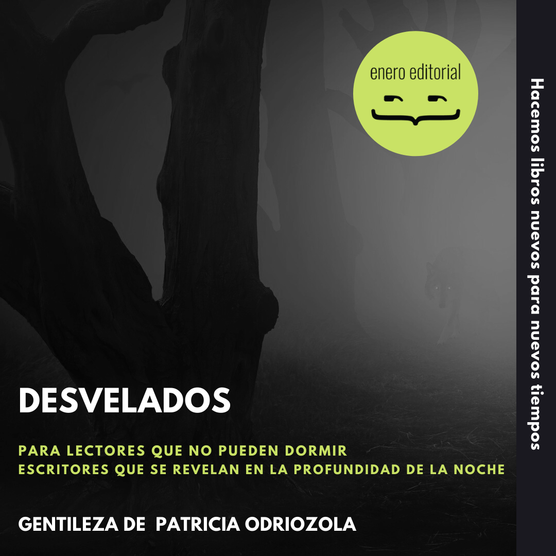 Desvelados - Patricia Odriozola