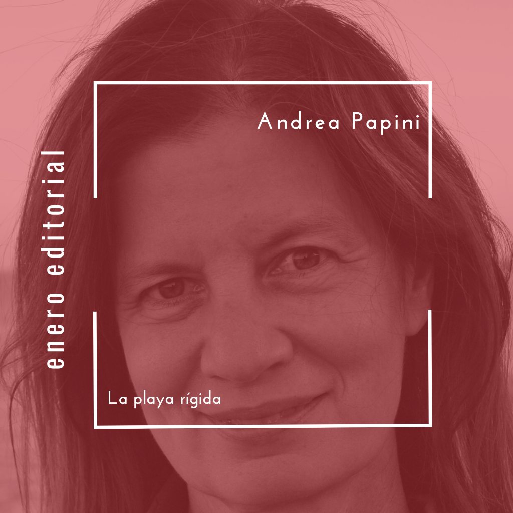 La playa rígida - Andrea Papini